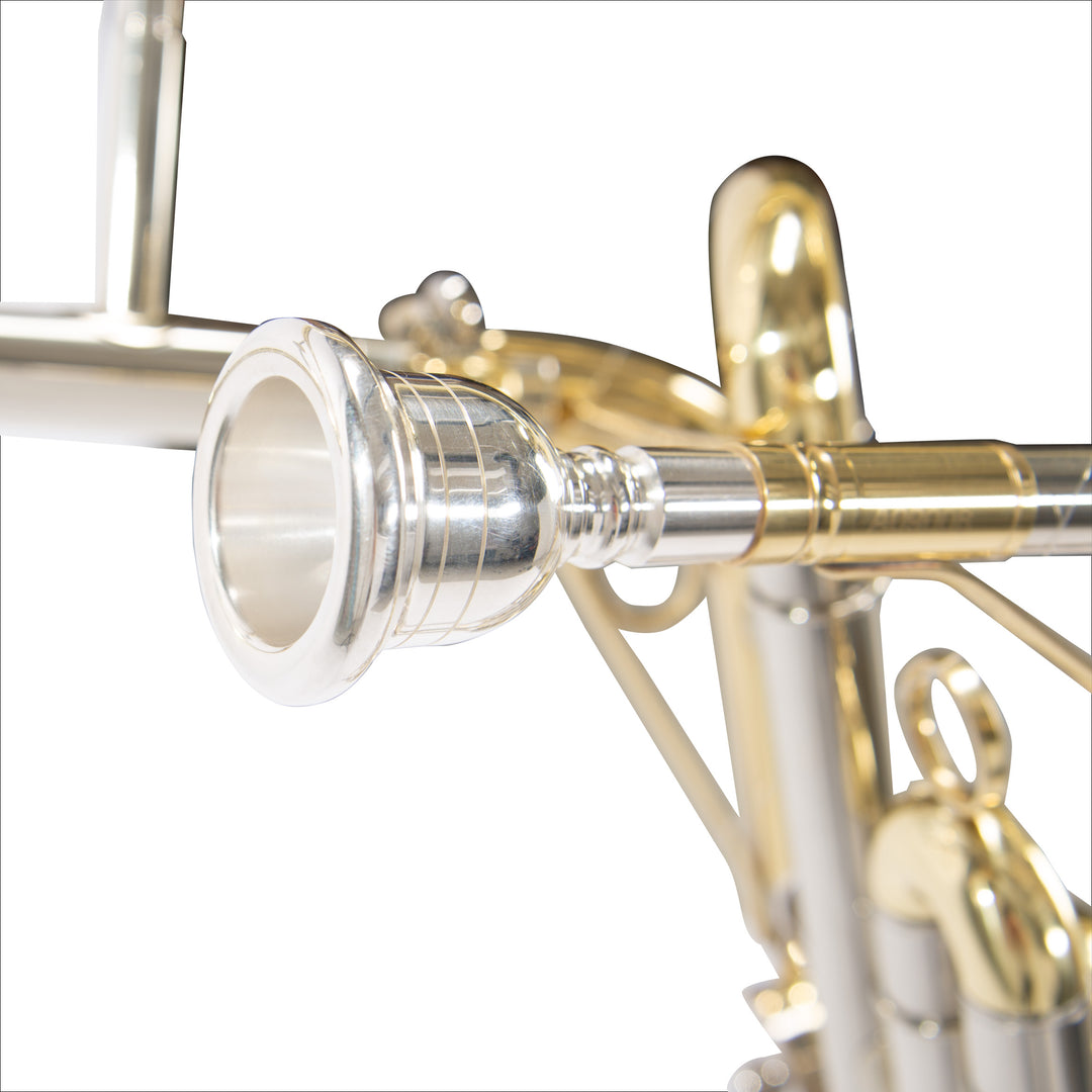 チンバッソ JBEF-531L｜JINBAO