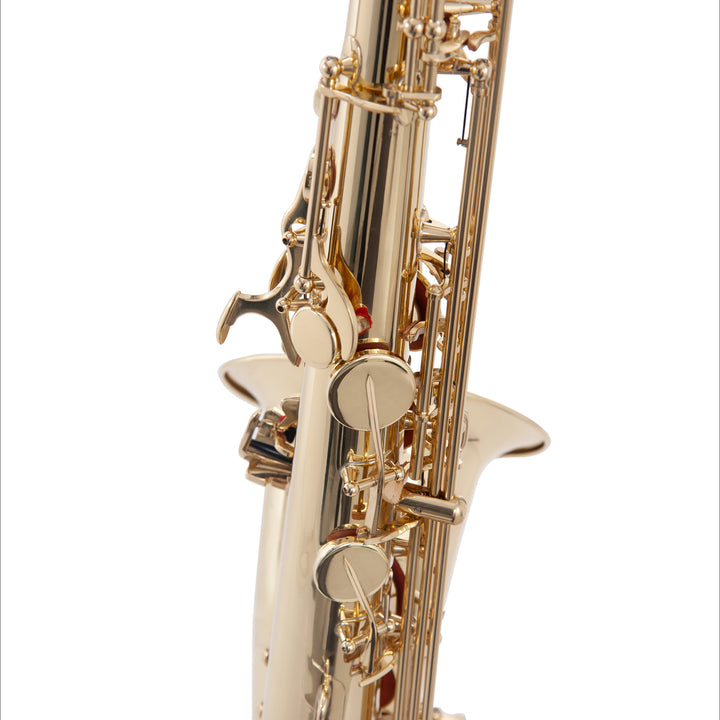 テナー・サクソフォーン JBTS-100L｜JINBAO